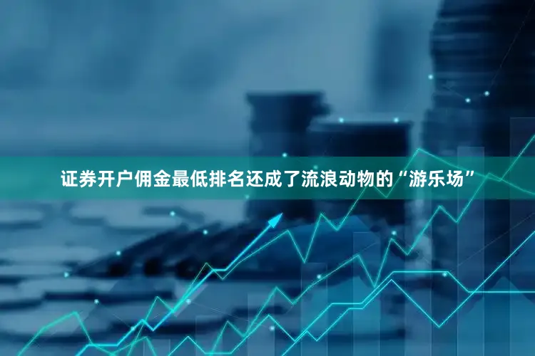 证券开户佣金最低排名还成了流浪动物的“游乐场”